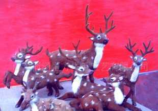 教學儀器的分類與應用 從教具到動物標本的全面解析